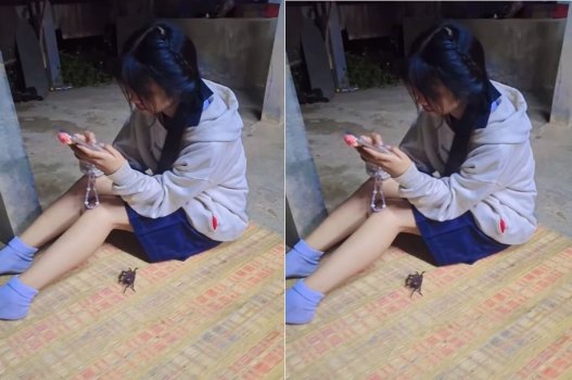 Bất kỳ nữ sinh viên nào đến nhà bạn chơi nên được phục vụ tốt